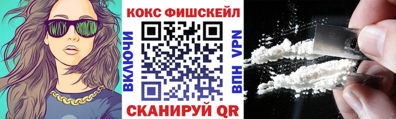 Cocaine FishScale  наркошоп  Беломорск 