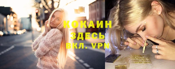 крисы Сатка