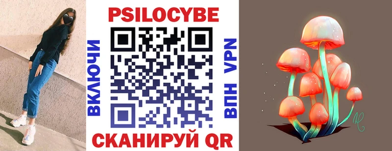 Псилоцибиновые грибы Psilocybine cubensis  Беломорск 